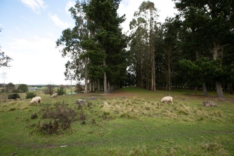 Photo of property in 17 Holt Place, Waipukurau, 4200