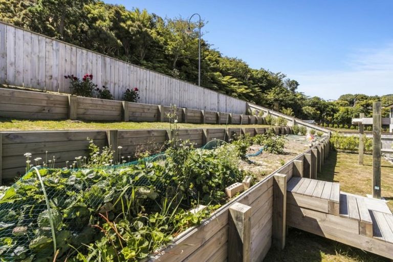 Photo of property in 6 Lime Grove, Maungaraki, Lower Hutt, 5010