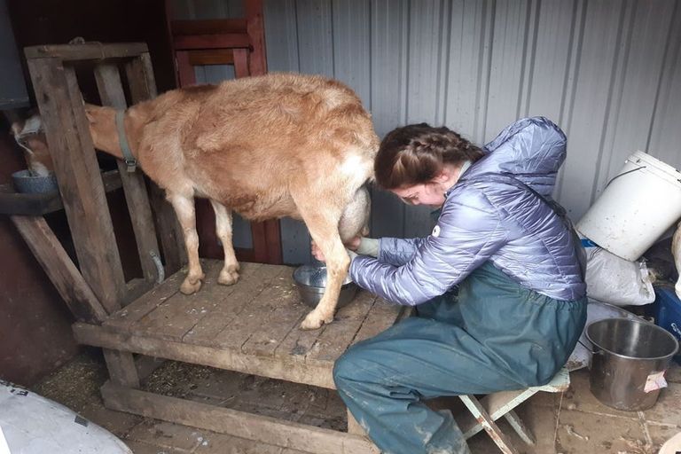 Photo of property in 23 Rameka Creek Road, Motupipi, Takaka, 7183