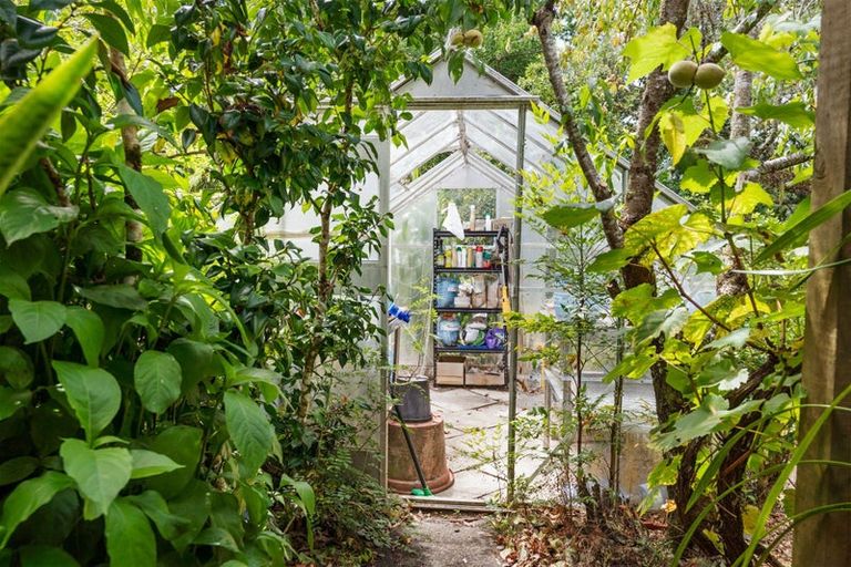 Photo of property in 290 Paihia Road, Kawakawa, 0282