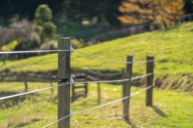 Photo of property in 105a Bradey Road, Pauatahanui, Porirua, 5381