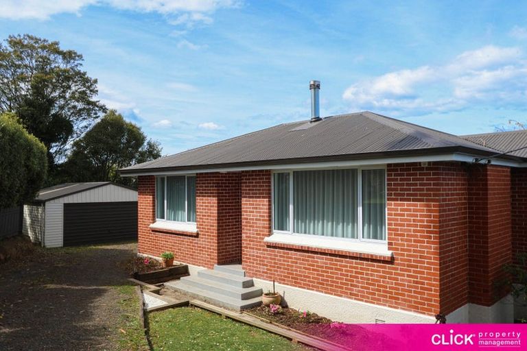Photo of property in 46 Hood Street, Wakari, Dunedin, 9010