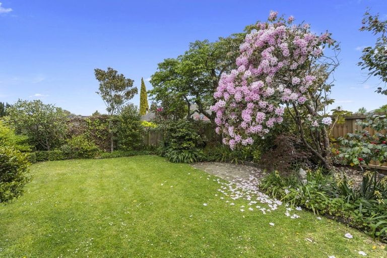 Photo of property in 3 Bealey Avenue, Merivale, Christchurch, 8014