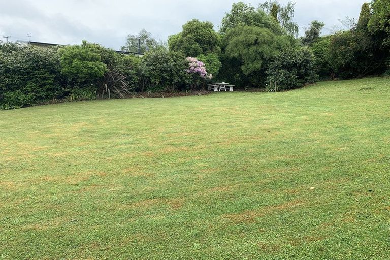 Photo of property in 14 Manuka Street, Lansdowne, Masterton, 5810