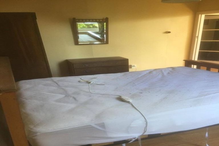 Photo of property in 5a Mcgeorge Avenue, Mornington, Dunedin, 9011