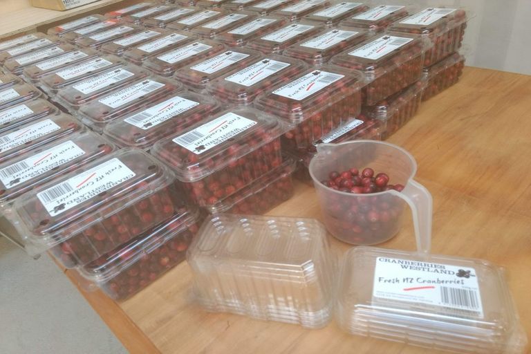 Photo of property in 1218 Old Christchurch Road, Awatuna, Hokitika, 7882