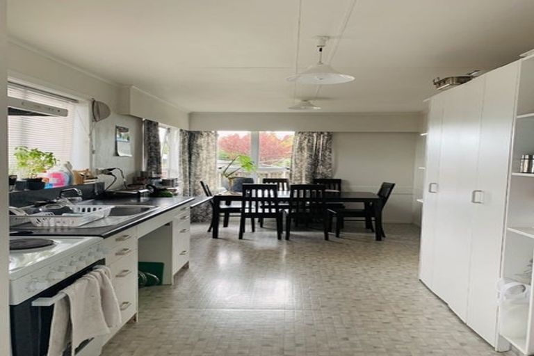 Photo of property in 20 Lancaster Street, Dinsdale, Hamilton, 3204