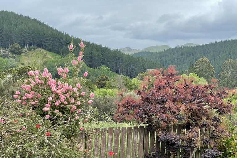 Photo of property in 3896 Ngahape Road, Ngahape, Masterton, 5890