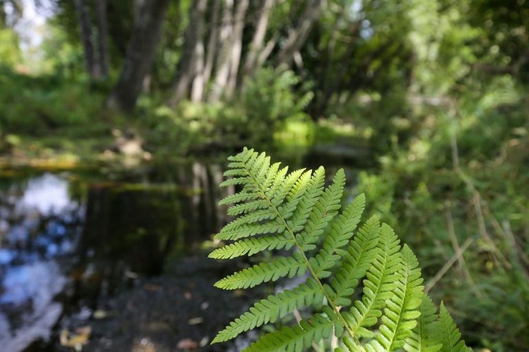 Photo of property in 538 Waiwhero Road, Ngatimoti, Upper Moutere, 7175