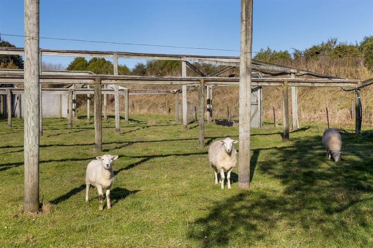 Photo of property in 144 Blind Creek Road, Tuamarina, Blenheim, 7273