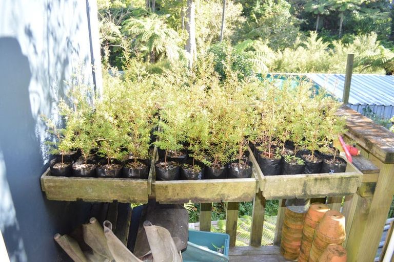 Photo of property in 480 Driving Creek Road, Coromandel, 3506