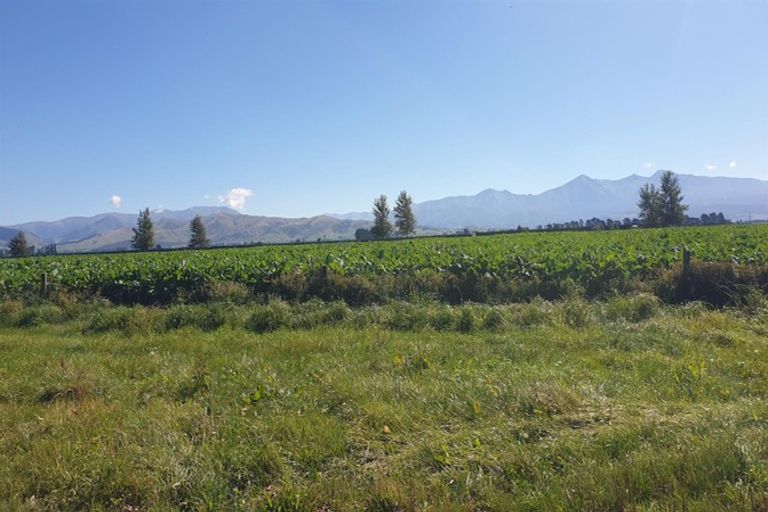 Photo of property in 98 Searles Road, Sheffield, 7580