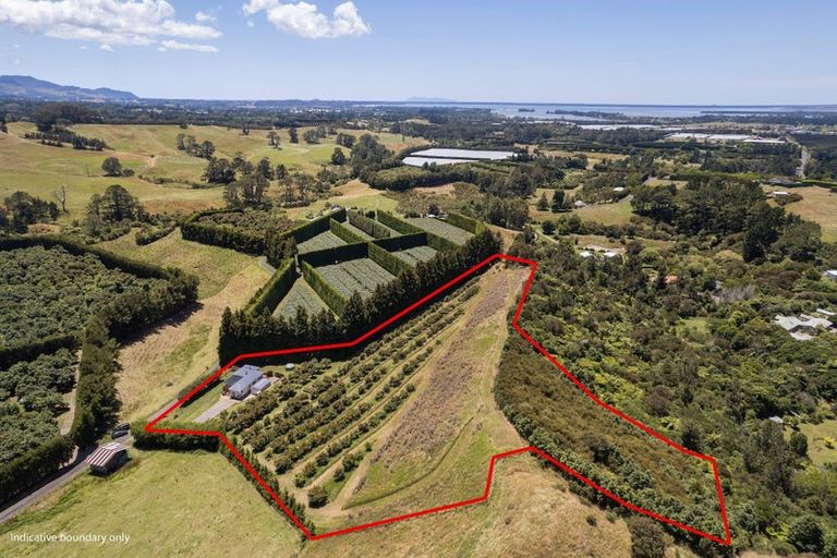 Photo of property in 54d Chard Road, Aongatete, Katikati, 3178