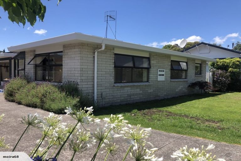 Photo of property in 1/103 Twelfth Avenue, Tauranga South, Tauranga, 3112