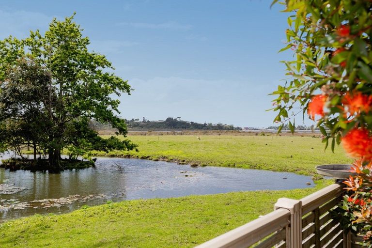 Photo of property in 11 Barossa Way, Brookfield, Tauranga, 3110