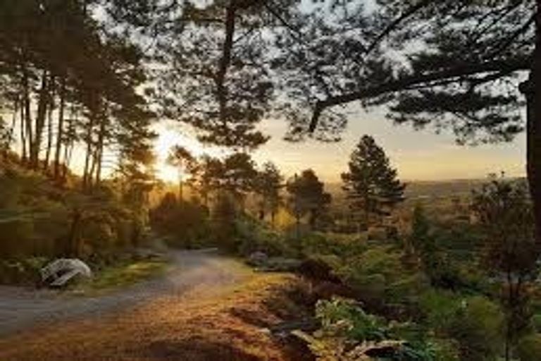 Photo of property in 42 Corbett Drive, Minden, Tauranga, 3176