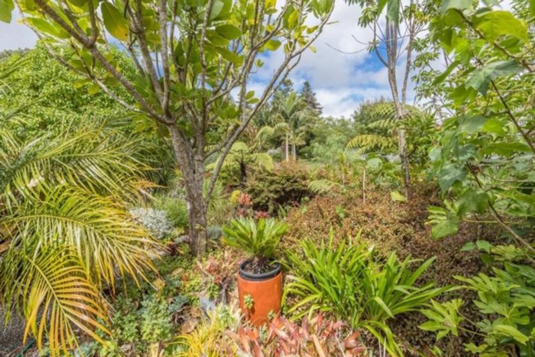 Photo of property in 46 Wiroa Road, Kerikeri, 0293