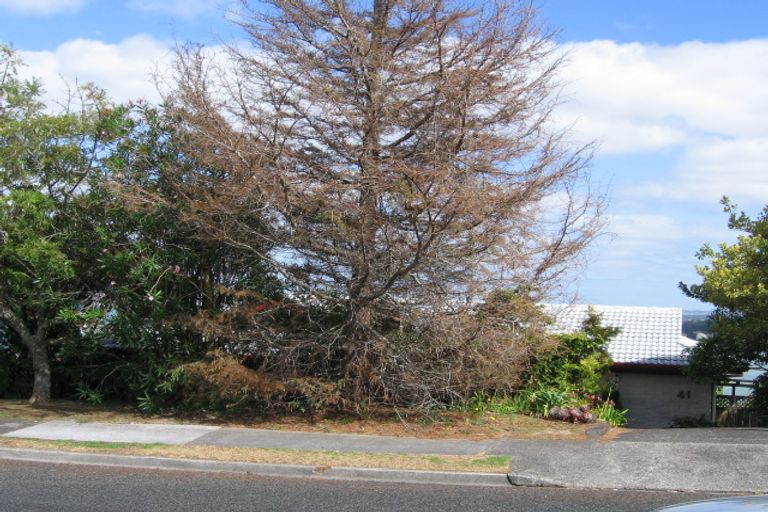 Photo of property in 41 Hadfield Street, Beach Haven, Auckland, 0626