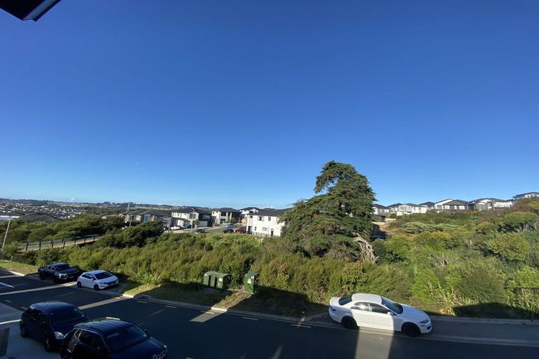 Photo of property in 13 Sagitta Drive, Flat Bush, Auckland, 2019