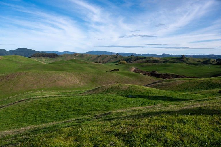 Photo of property in 617 Dunkirk Road, Atiamuri, 3078