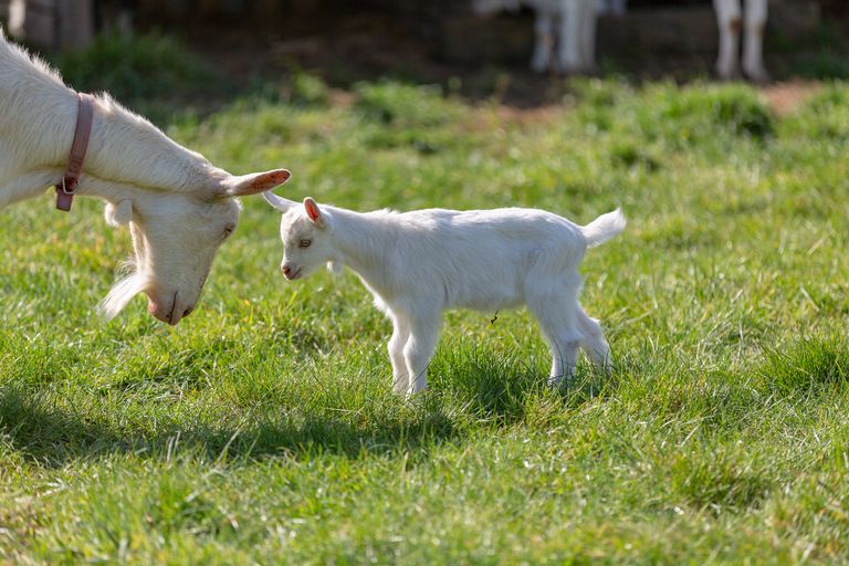 Photo of property in 1469 Motueka Valley Highway, Ngatimoti, Motueka, 7196