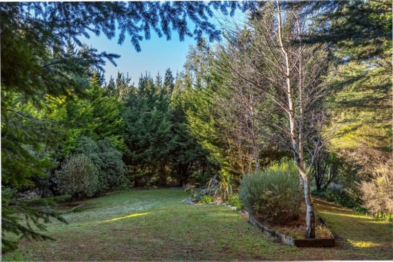 Photo of property in 351 Upper Waingawa Road, Kaituna, Masterton, 5888