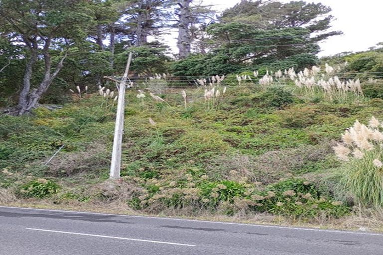 Photo of property in 818 Thames Coast Sh25 Road, Tapu, Thames, 3575