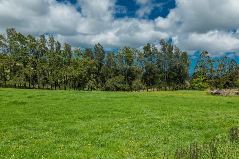 Photo of property in 5 Diamond Lane, Riverhead, 0793