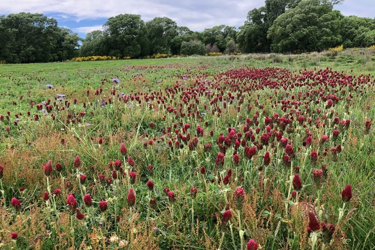 Photo of property in 624 Kyeburn-hyde Road, Kokonga, Ranfurly, 9397