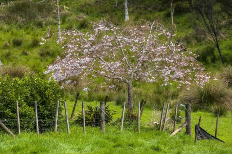 Photo of property in 9 Cory Road, Kaukapakapa, 0873