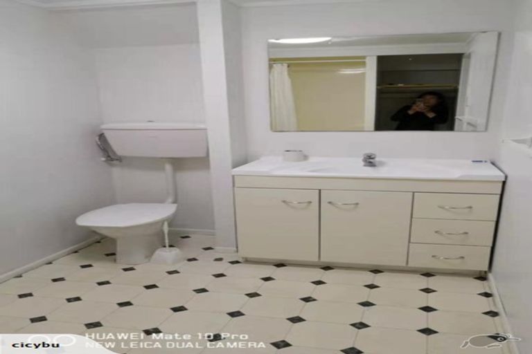 Photo of property in 8 Elizabeth Street, Pakuranga, Auckland, 2010