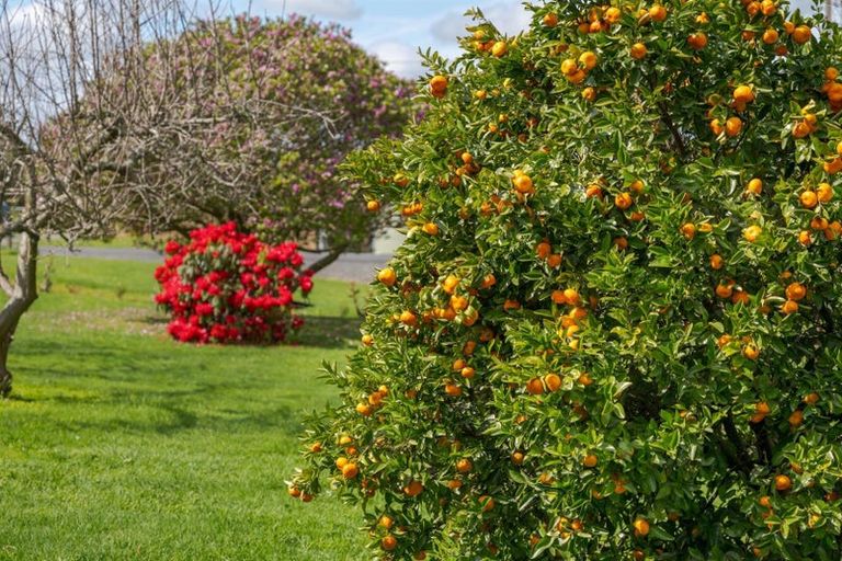 Photo of property in 23 Arawa Road, Pongakawa, Te Puke, 3186