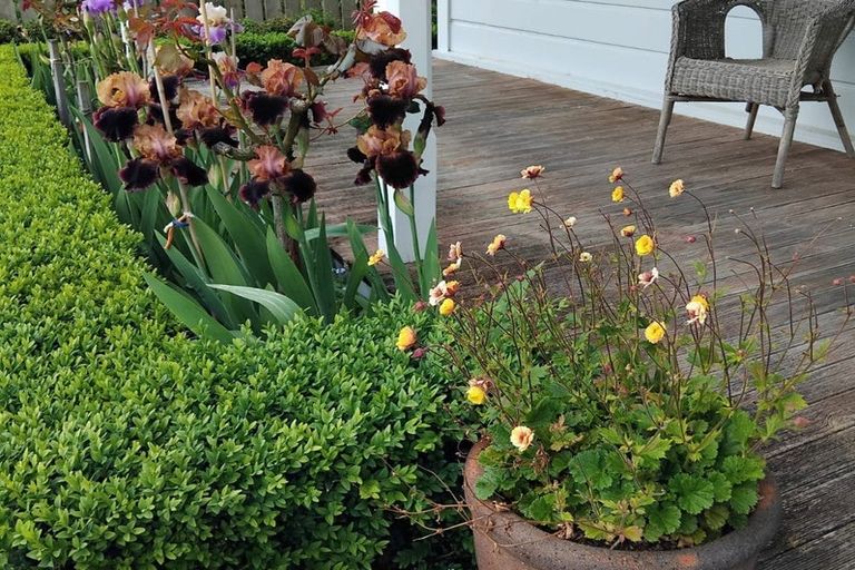 Photo of property in 21 Signal Street, Marton, 4710