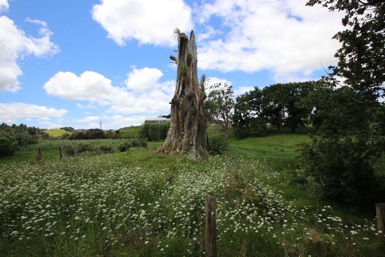 Photo of property in 322 Fairburn Road, Kaitaia, 0482