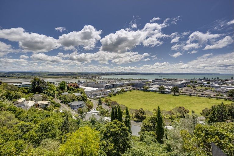 Photo of property in 28 Hospital Terrace, Hospital Hill, Napier, 4110