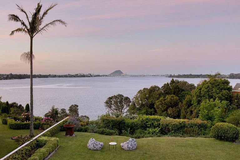 Photo of property in 9a Mersea Place, Maungatapu, Tauranga, 3112