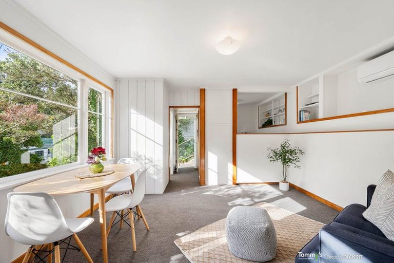 Photo of property in 47 Norway Street, Aro Valley, Wellington, 6012