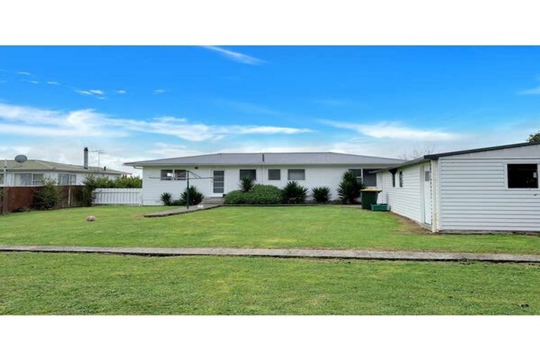 Photo of property in 12 Vogel Street, Levin, 5510