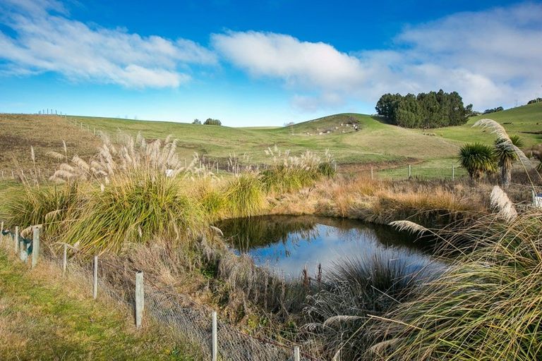 Photo of property in 229 Flag Swamp Road, Waikouaiti, 9472