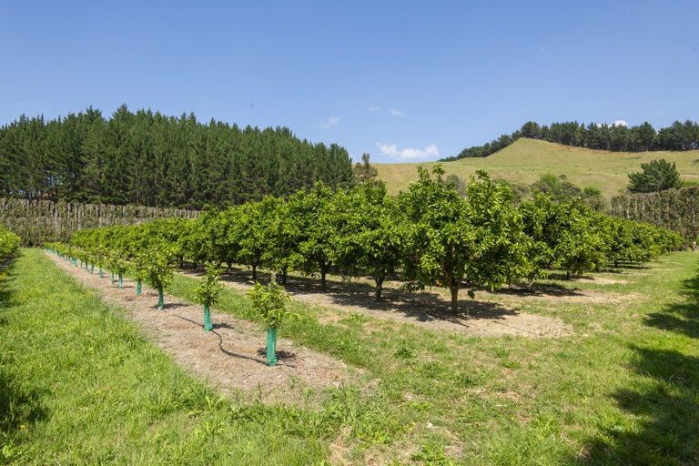 Photo of property in 98 Taurau Valley Road, Manutuke, 4072