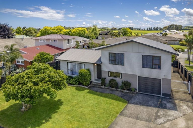 Photo of property in 41 Kennedy Drive, Levin, 5510