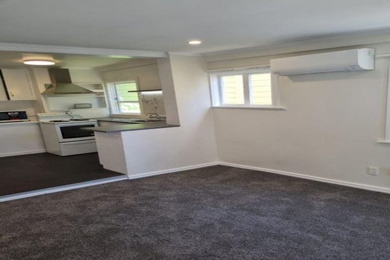 Photo of property in 3/110 Austin Street, Mount Victoria, Wellington, 6011