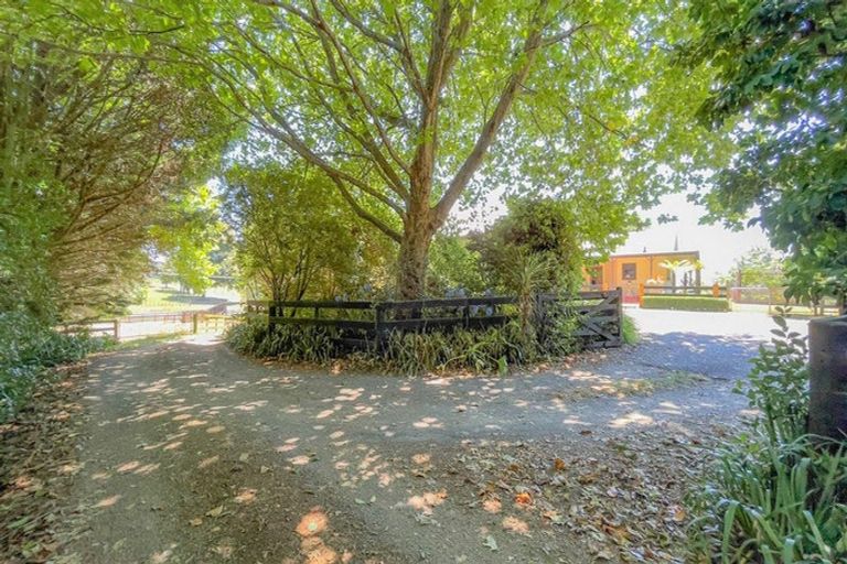 Photo of property in 443a Puketutu Road, Matamata, 3472