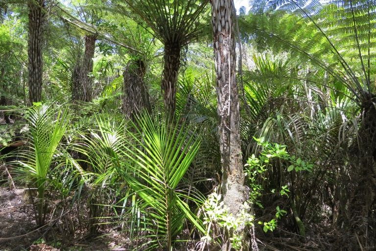 Photo of property in 871c Tiki Quarry Road, Preece Point, Coromandel, 3581