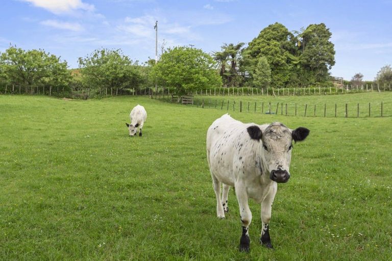 Photo of property in 70 Kaimango Road, Hauturu, Te Awamutu, 3878