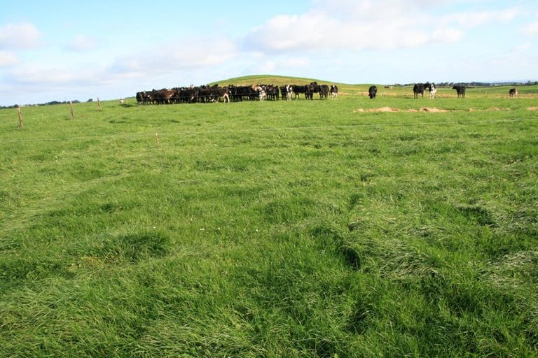 Photo of property in 192 Dover Road, Okato, New Plymouth, 4374