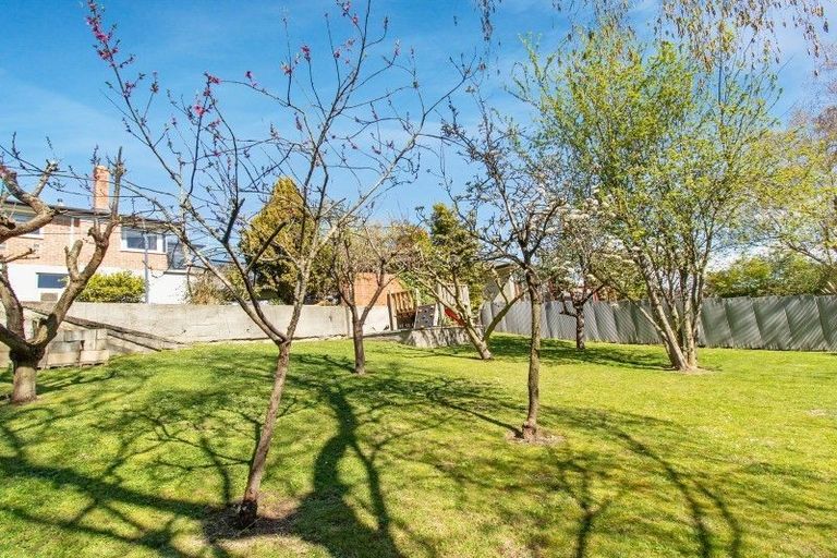 Photo of property in 35 Rimu Street, Glenwood, Timaru, 7910