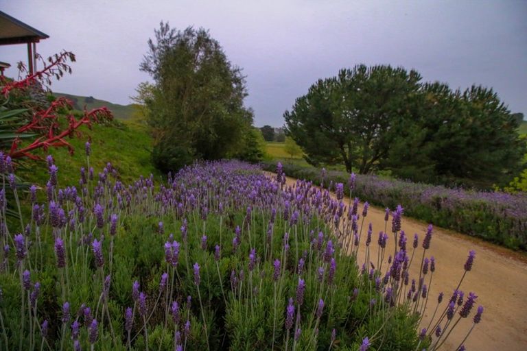 Photo of property in 53 Rays Road, Raukawa, Hastings, 4174