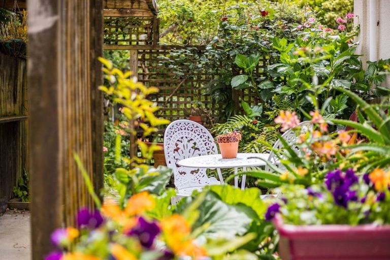 Photo of property in 41a Winara Avenue, Waikanae, 5036