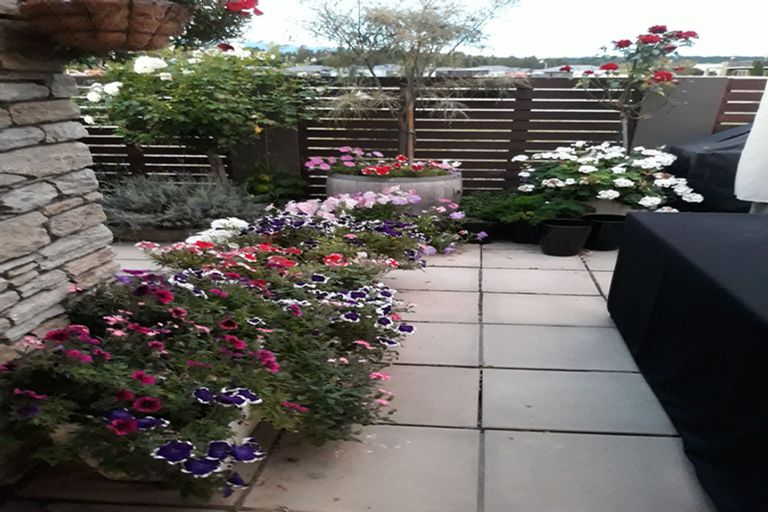 Photo of property in 33f Larch Crescent, Alexandra, 9320